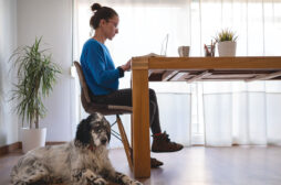 Woman working at dining room table with dog by her legs